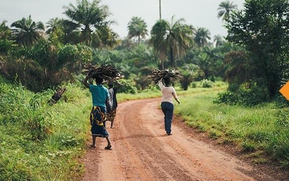 Mujeres africanas caminan portando ramas sobre la cabeza | MANOS UNIDAS ep mujeres africanas caminan portando ramasla cabeza