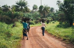 ep mujeres africanas caminan portando ramasla cabeza