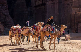 ep nace en espana el primer curso para fomentar el turismo responsable con los animales