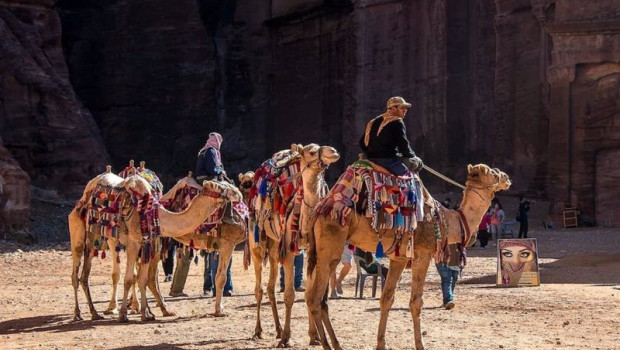 ep nace en espana el primer curso para fomentar el turismo responsable con los animales