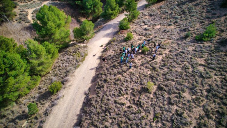 lucha contra la desertificacin cromogenia