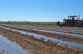 20240415 124535 1 20240521115800 