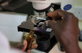 drugs, pharmaceuticals, medical, health drugs, pharmaceuticals, medical, health