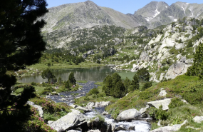 captura de pantalla 2025 07 24 a les 174432