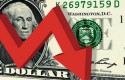 cbdolarbajist5 short1 cbdolarbajist5 short1