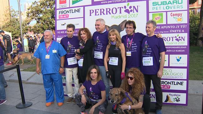 10.000 amantes de los animales se dan cita en el Perrotón 2017 | EUROPAPRESS ep 10000 amanteslos animalesdan citaperroton 2017