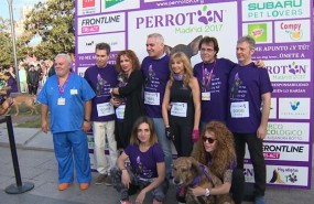 ep 10000 amanteslos animalesdan citaperroton 2017