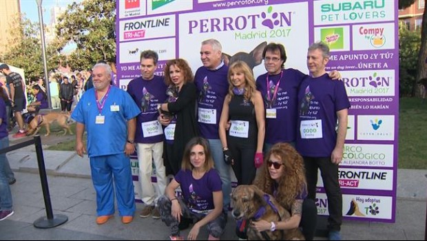 ep 10000 amanteslos animalesdan citaperroton 2017
