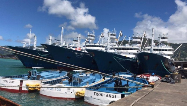 ep archivo   barcos de la flota atunera espanola