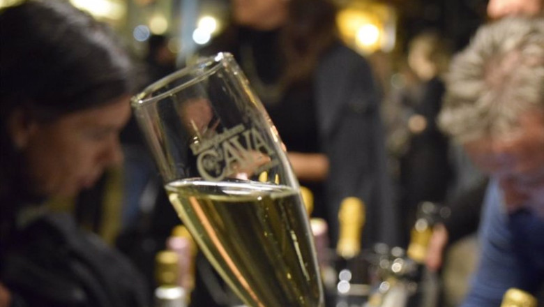ep archivo copa con cava ep archivo copa con cava