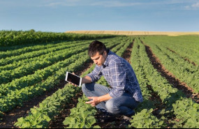 ep archivo   joven agricultor