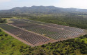ep archivo   planta fotovoltaica llanos del sur propiedad de ecoener en honduras