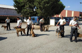 ep comienza el primer curso de formacion de guias caninos para funcionarios de prisiones en los