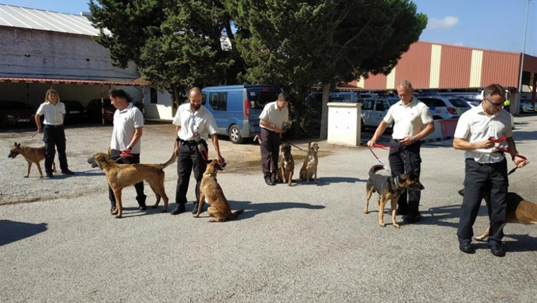 Comienza el primer curso de formación de Guías Caninos para funcionarios de prisiones en Los Barrios (Cádiz) | INSTITUCIONES PENITENCIARIAS ep comienza el primer curso de formacion de guias caninos para funcionarios de prisiones en los