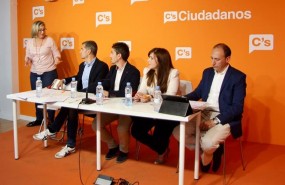 ep diputadoexplicadoenmiendascs