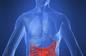 ep enfermedadcrohn intestino enfermedad intestinal 20190703180911