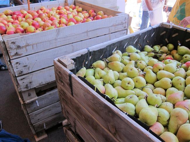 ep fruta afectadaveto ruso