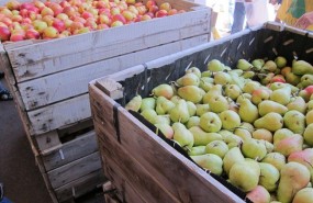 ep fruta afectadaveto ruso