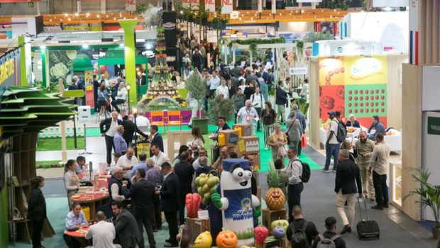 ep la 18 edicion de la feria internacional del sector de frutas y hortalizas fruit attraction ep la 18 edicion de la feria internacional del sector de frutas y hortalizas fruit attraction