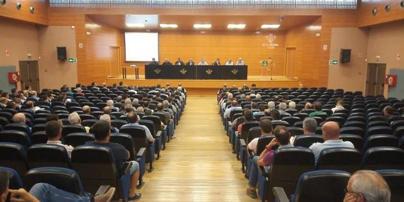 Reunión del Consejo Sectorial del Aceite de Oliva de Cooperativas Agro-alimentarias | COOPERATIVAS AGRO-ALIMENTARIAS ep reunionconsejo sectorialaceiteolivacooperativas agro-alimentarias