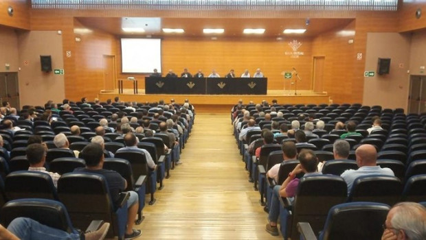 ep reunionconsejo sectorialaceiteolivacooperativas agro-alimentarias