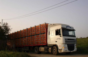 ep transporte animales 20200325103605