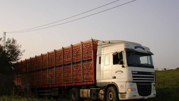 ep transporte animales 20200325103605