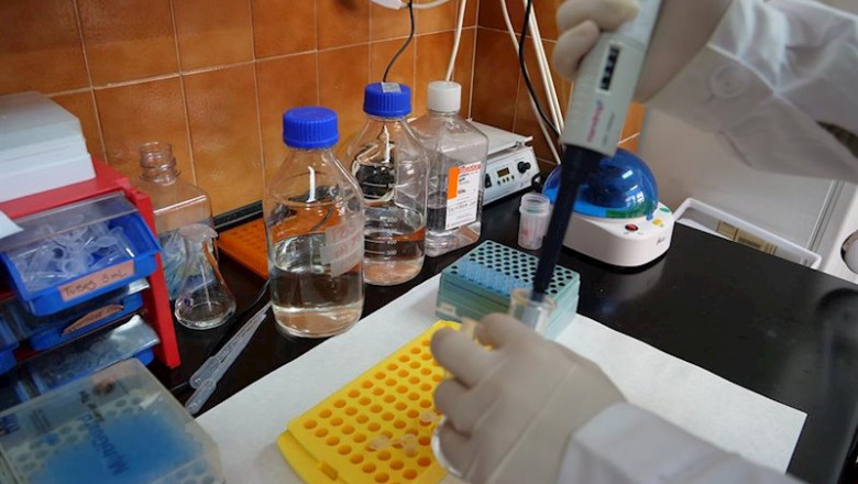 Un investigador de la Universidad de Málaga en un laboratorio. | UNIVERSIDAD DE MÁLAGA - Archivo ep un investigador de la universidad de malaga en un laboratorio