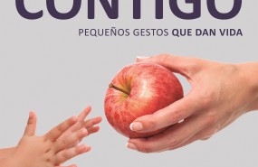 ep v gran recogidalos bancosalimentos