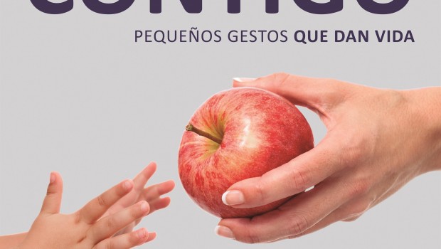 ep v gran recogidalos bancosalimentos