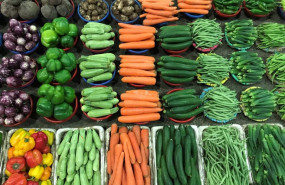 ep verduras y hortalizas de huerta