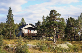 fincas rusticas 1 1 1 1 1