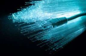 goriz noviembre goriz noviembre