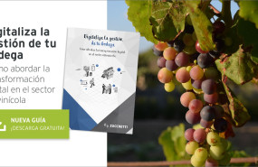 img rrss guia36 erp bodegas