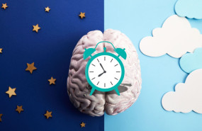 ritmos circadianos ritmos circadianos