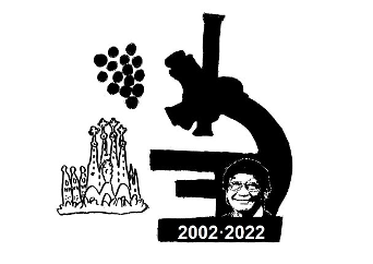 captura de pantalla 2022 11 21 a les 185256