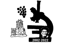 captura de pantalla 2022 11 21 a les 185256 captura de pantalla 2022 11 21 a les 185256