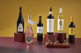 ep archivo   porfolio de vinos espanoles de vinarchy tarsus campo viejo e ysios