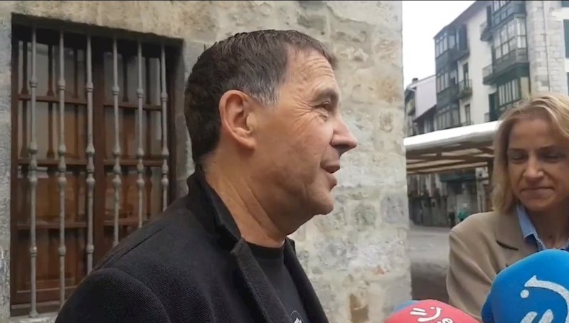 ep el coordinador general de eh bildu tras votar en elgoibar