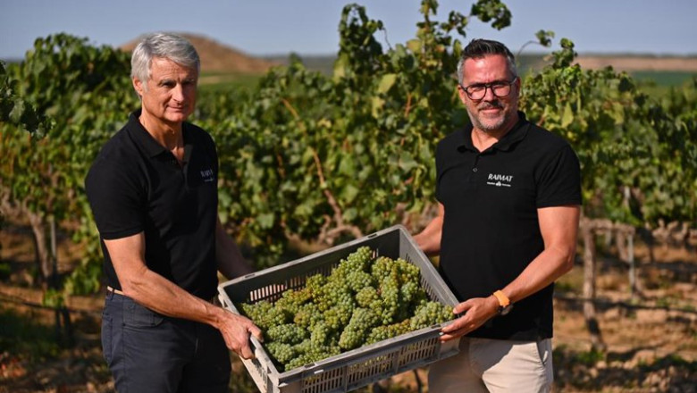 ep joan esteve director de raimat y carles escolar enologo de la bodega en los vinedos