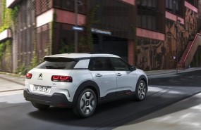 ep nuevo citron c4 cactus coolcomfort