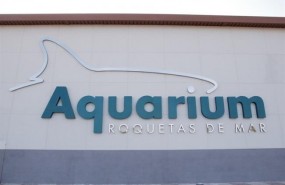 ep senator hotels adquiere75 del aquariumroquetasmar