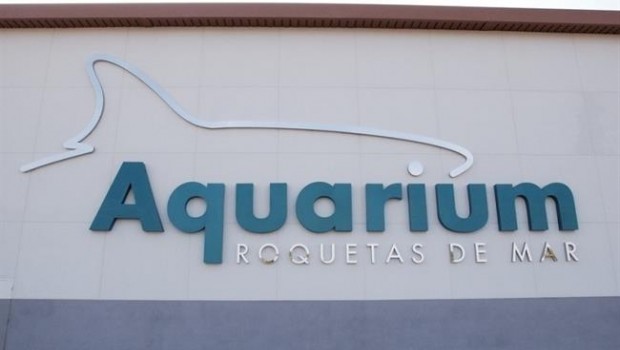 ep senator hotels adquiere75 del aquariumroquetasmar