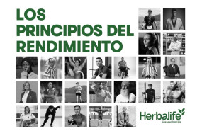 los principios del rendimiento los principios del rendimiento