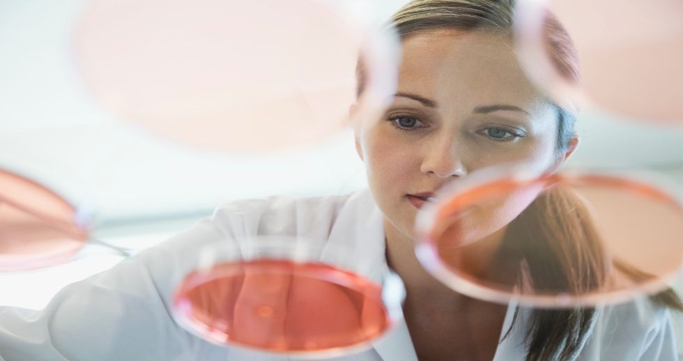 La recuperación de esta farmacéutica del Ibex va muy en serio