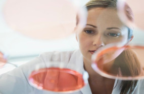 np   rovi confa en atos para el outsourcing de sus sistemas it y para la gestin del puesto de trabajo