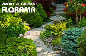 viveros florama diseo de jardines