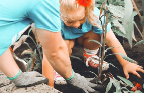 1580125755 nin a plantando