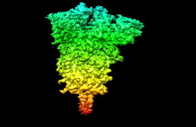 1594374539 5f0836ec6004cimage name