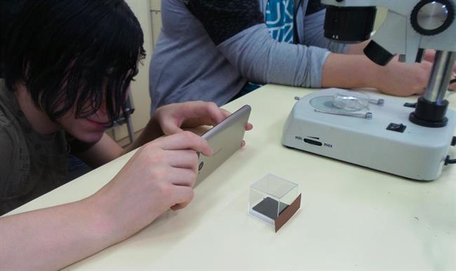Alumno haciendo foto a mosquito tigre | CREAF ep alumno haciendo fotomosquito tigre